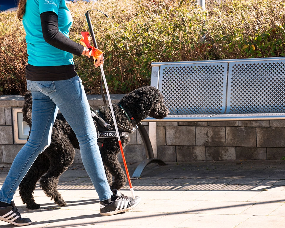 Frau mit Blindenstock geht mit Assistenzhund spazieren.