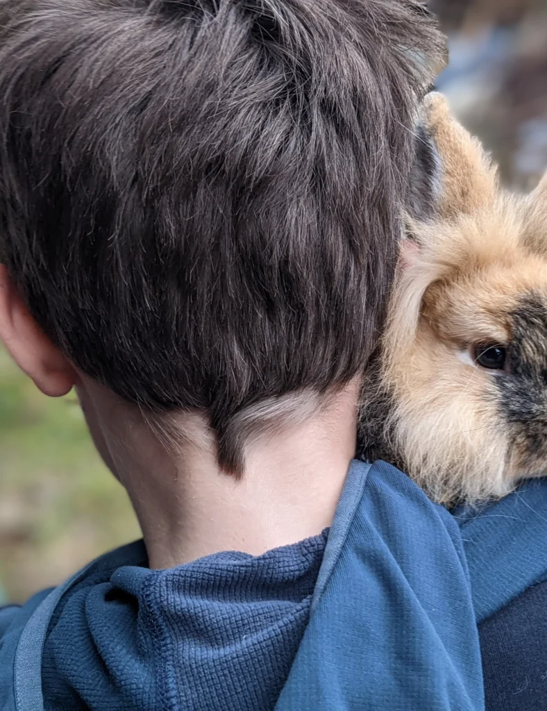 Hinterkopf von einem Jungen. Er hält einen Hasen auf seiner Schulter.