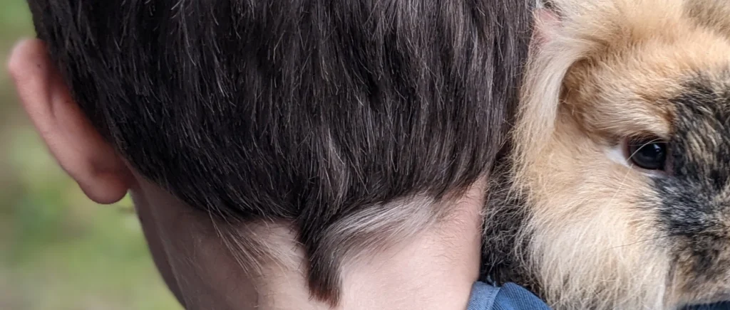 Hinterkopf von einem Jungen. Er hält einen Hasen auf seiner Schulter.
