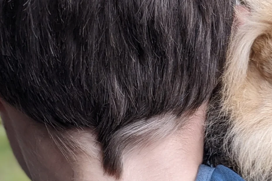 Hinterkopf von einem Jungen. Er hält einen Hasen auf seiner Schulter.