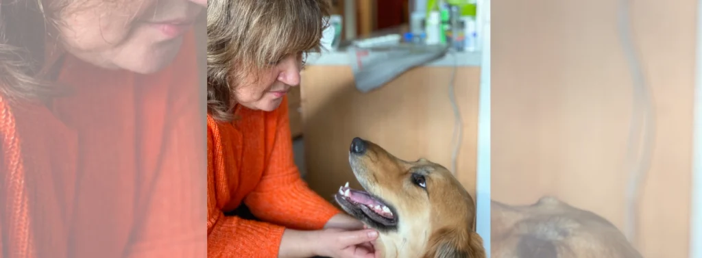Eine Frau krault einen Hund am Kopf.