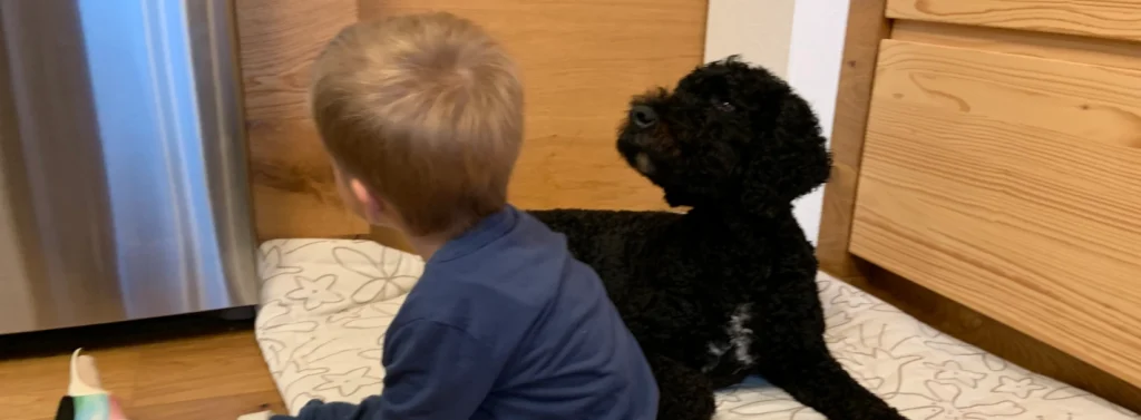 Kind und Hund sitzen auf einer Decke und schauen weg von der Kamera.