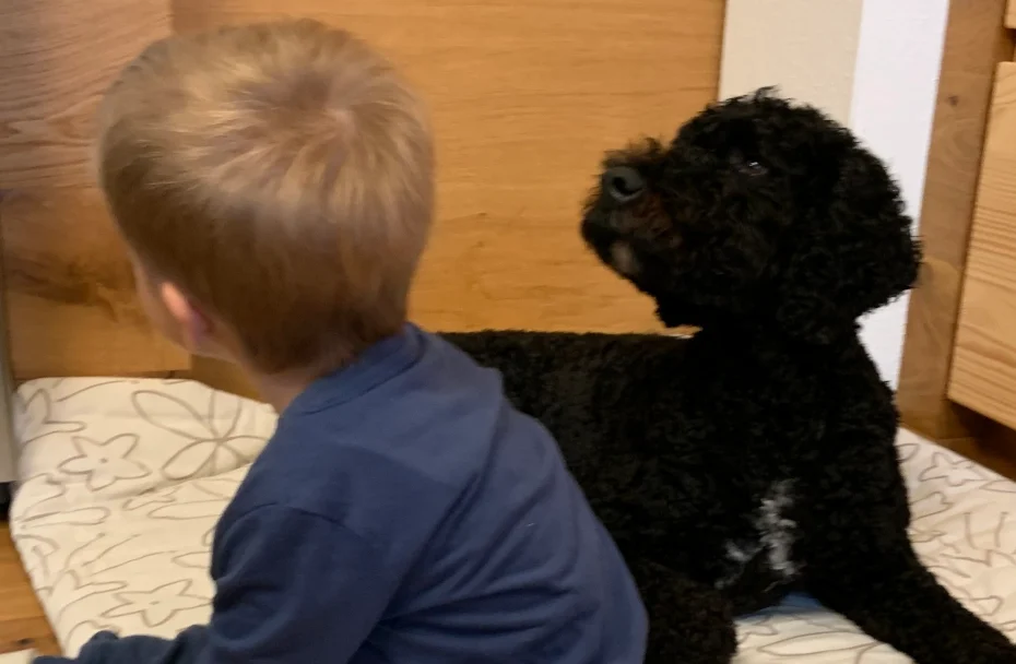 Kind und Hund sitzen auf einer Decke und schauen weg von der Kamera.