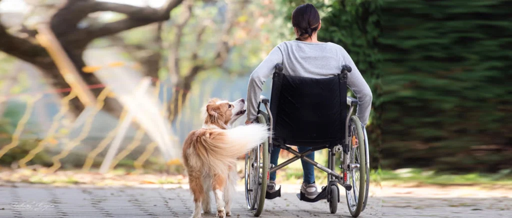 Ein Kind fährt mit dem Rollstuhl eine Straße entlang. Ein Hund begleitet sie.