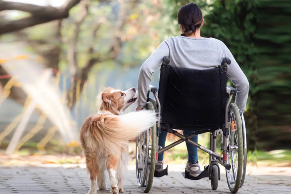 Ein Kind fährt mit dem Rollstuhl eine Straße entlang. Ein Hund begleitet sie.