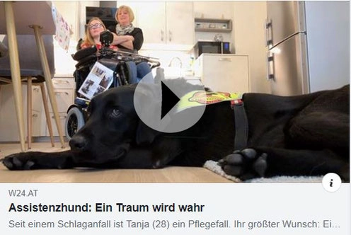 Online-Artikel mit dem Titel Assistenzhund: Ein Traum wird wahr.
