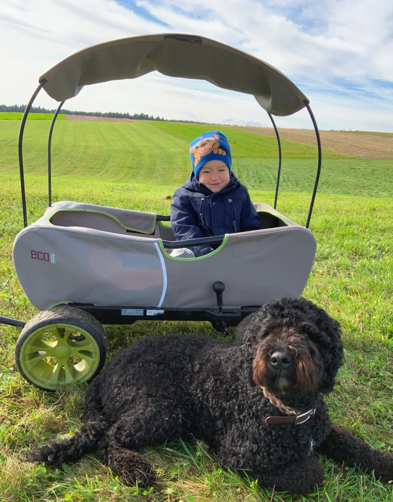 Kleinkind sitzt in einem Wagen. Ein Hund liegt vor dem Wagen.