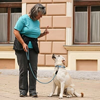Trainerin gibt sitzendem Hund ein Kommando.
