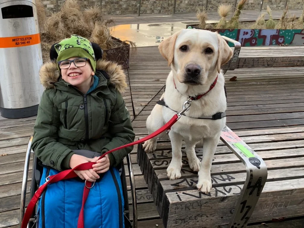 Lächelndes Kind im Rollstuhl hält sitzenden Assistenzhund an der Leine.