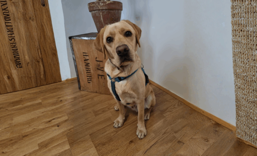 Kein titel (a4 (querformat)) (1)