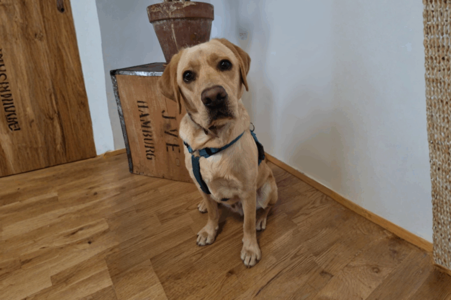 Kein titel (a4 (querformat)) (1)