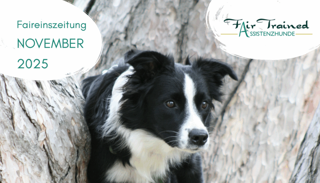 Screenshot 2025 11 21 133214