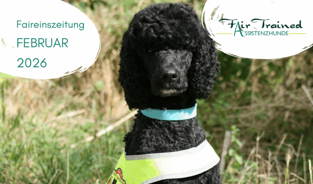 Screenshot 2026 03 02 080842